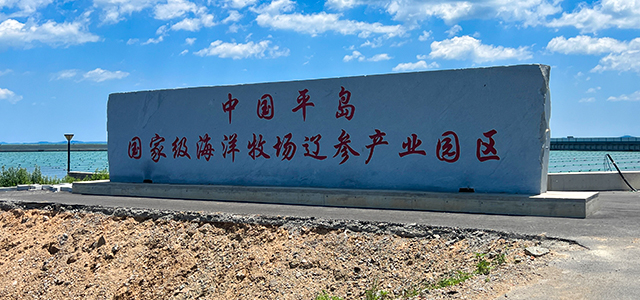 认证标志
