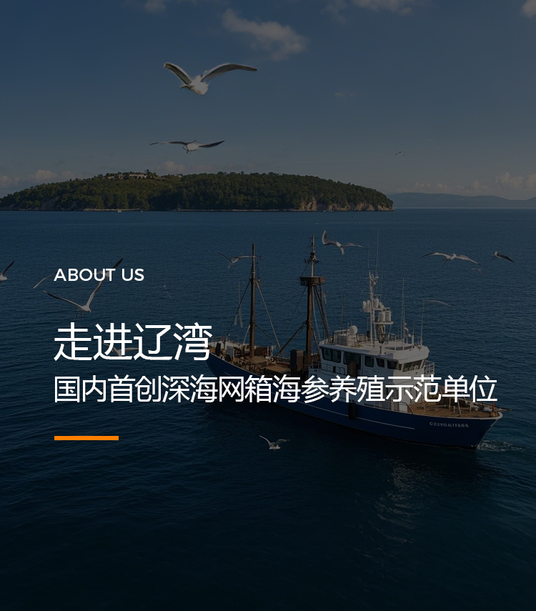 移动端图1