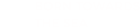 捕捞
