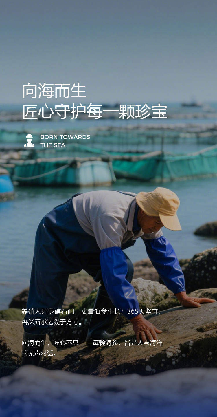 移动端图4