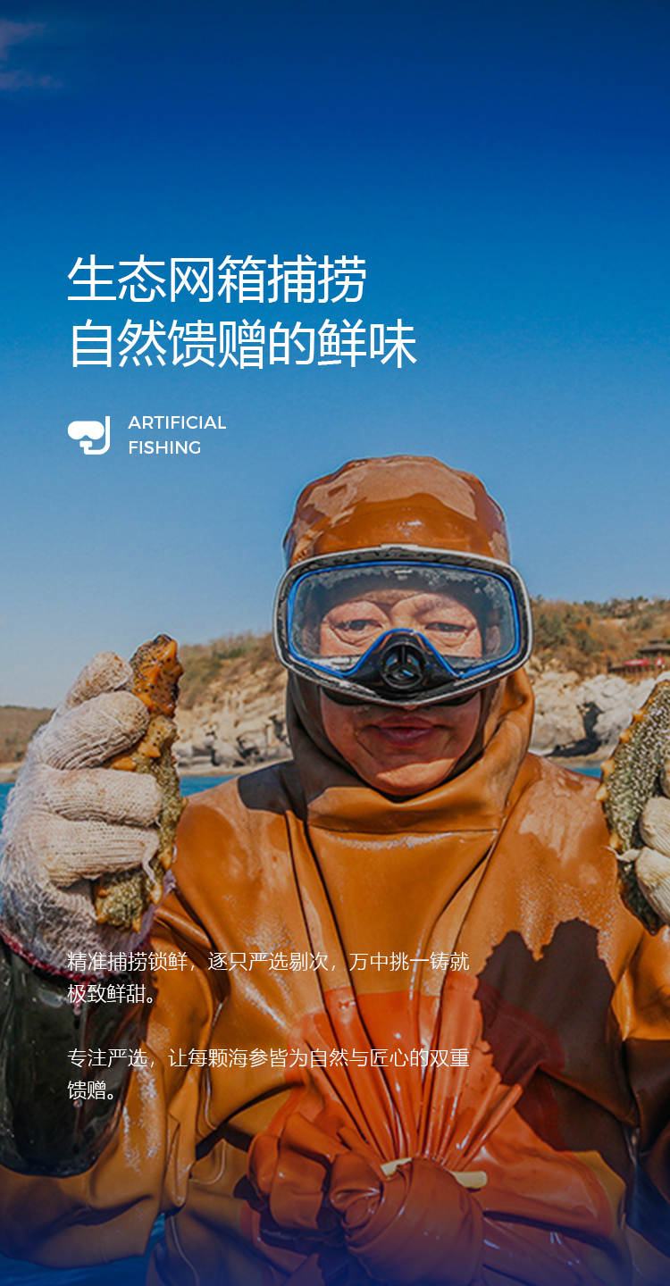移动端图5